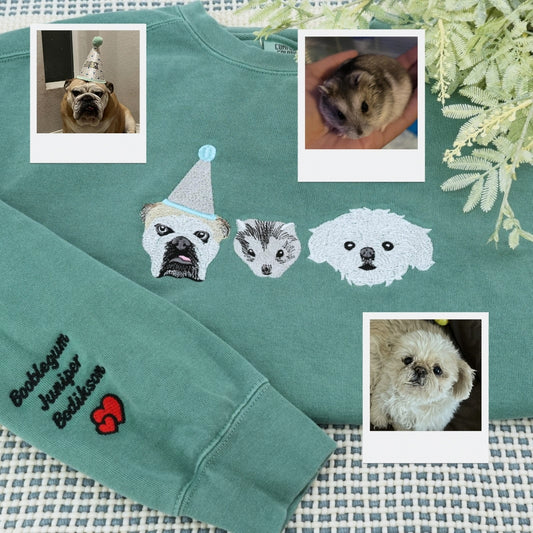 Custom Holiday Pet Portrait Hoodies - Multi Pet Party Hat Embroidered Sweatshirts - Festive Pet Family Gift with Names - Christmas Pet Apparel