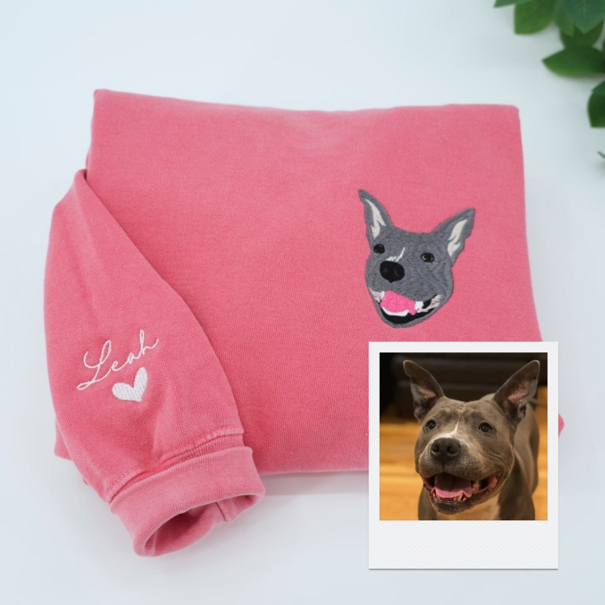 Custom Holiday Pet Portrait Hoodies - Multi Pet Party Hat Embroidered Sweatshirts - Festive Pet Family Gift with Names - Christmas Pet Apparel